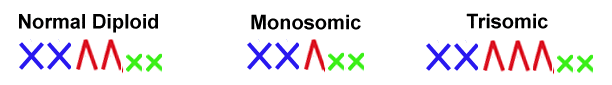 monosomy vs trisomy