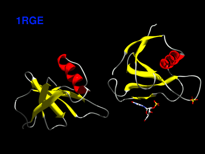 Quick and easy animated pictures of proteins