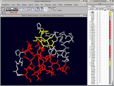introduction to bioedit and swiss pdb viewer