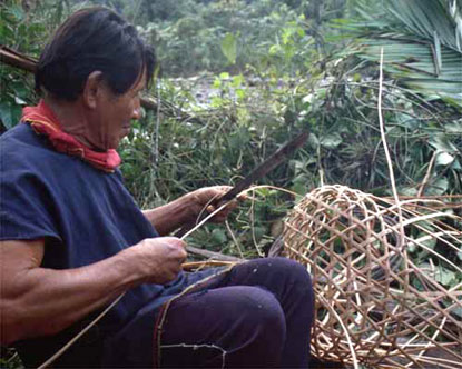 Inventarios Biol Gicos R Pidos Galer A De Im Genes Ecuador