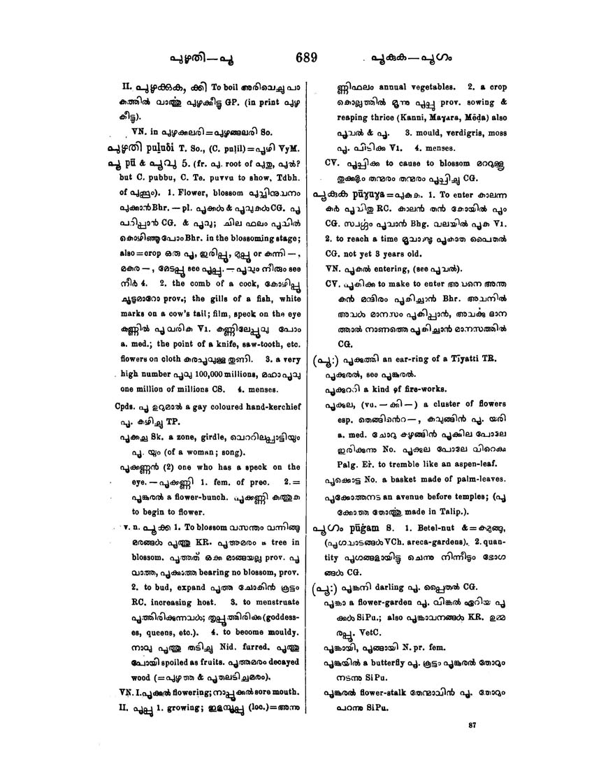 malayalam english dictionary pdf