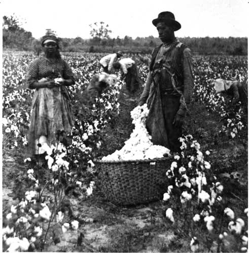White Farmers, Black Land [2001]
