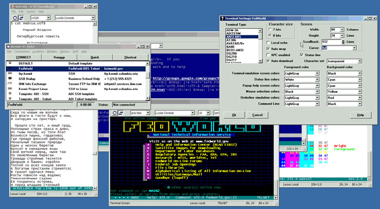 ansi serial terminal program windows