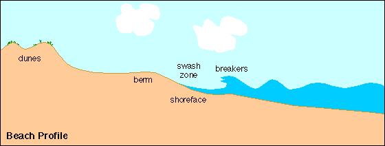 Coastal Processes