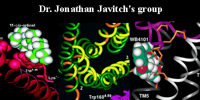 javitch research