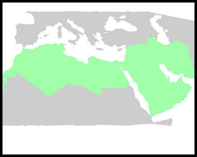 MENA