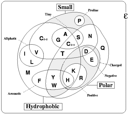 Lecture 5 - Enzyme Kinetics